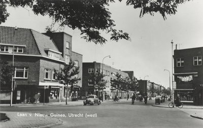 605740 Gezicht in de Laaan van Nieuw Guinea te Utrecht vanaf de Spinozaweg.